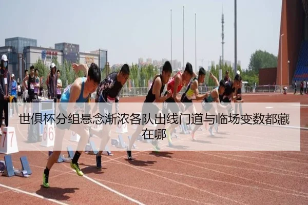 img_1781124010794_12_2_230.jpg